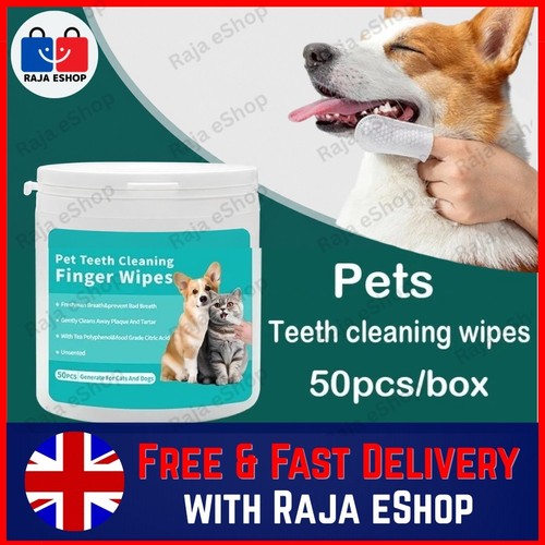 Pet dental wipes - wipes, dogs