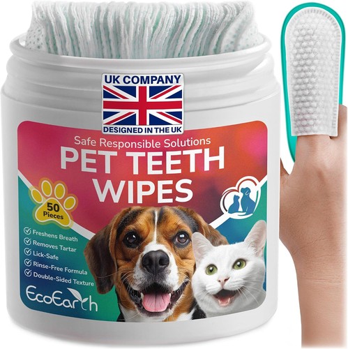 Pet teeth cleaning - pet,