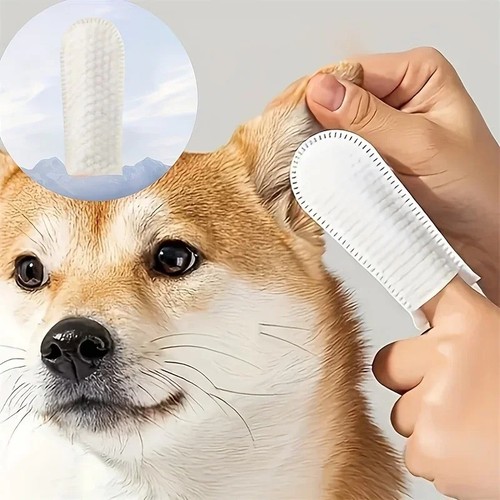 Pets dogs cats - dogs, teeth